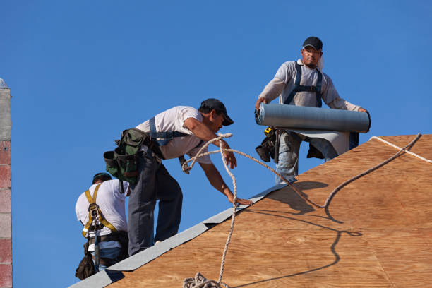 Best Roof Repair Services  in Forest Oaks, NC